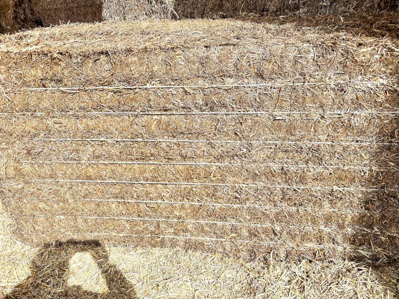 20/21 Season Vetch Hay Farm Tender