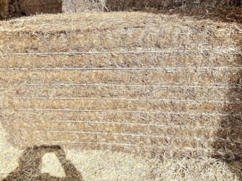 20/21 Season Vetch Hay