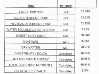 20/21 Season Vetch Hay