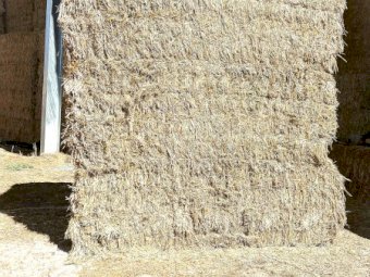 22/23 Season Oaten Hay