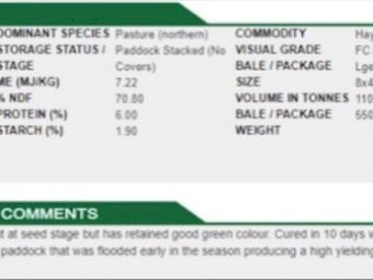 1100mt Pasture Hay 550kg 8x4x3 Bales