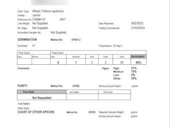 120 mt Lancer Wheat pickled