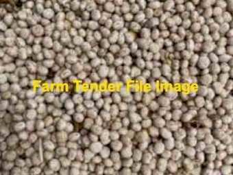 200 m/t Bateman Feed  Lupins