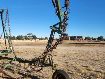 50' Smale Diamond Prickle Chain