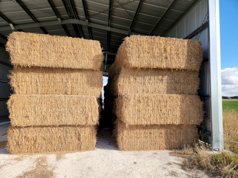 28mt Lucerne Hay 550-600kg 8x4x3 Bales (New Season 22/23)