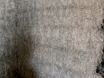 38mt Vetch Hay 550kg 8x4x3 Bales (New Season 22/23)