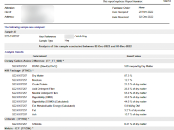 38mt Vetch Hay 550kg 8x4x3 Bales (New Season 22/23)