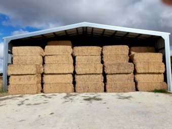75mt Lucerne Hay 550-600kg 8x4x3 Bales (New Season 22/23)