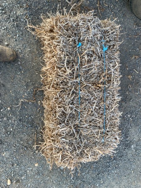 Approx. 300 Bales Pea Straw Small Squares