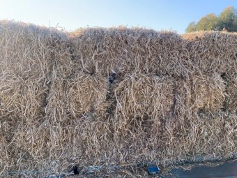 Approx. 300 Bales Pea Straw Small Squares