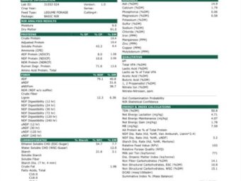 40 x Bales Vetch Hay 8x4x3  Large Square