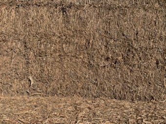 40 x Bales Vetch Hay 8x4x3  Large Square