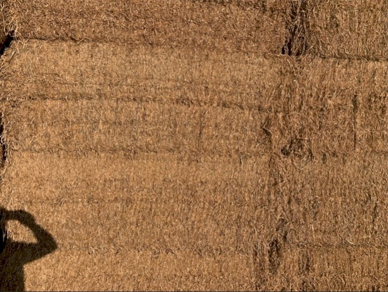 90 x Bales Pea Straw Large Squares Farm Tender