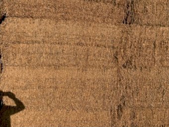 90 x Bales Pea Straw Large Squares