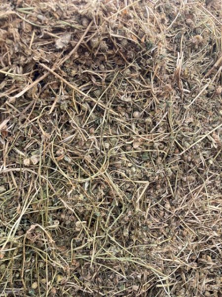 Medic Hay 8x4x3 Bales