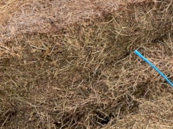 Medic Hay 8x4x3 Bales