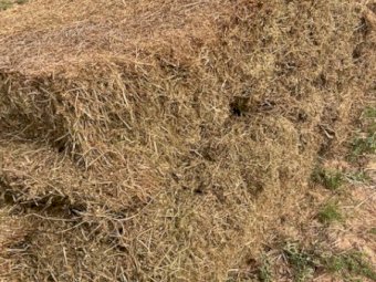 Medic Hay 8x4x3 Bales