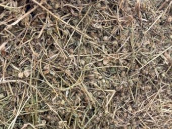 Medic Hay 8x4x3 Bales