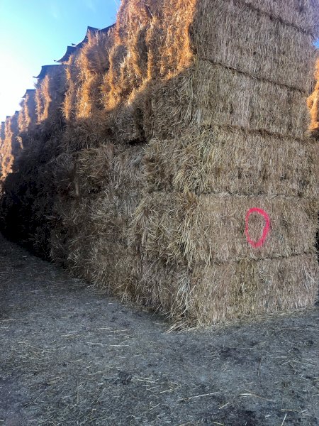 130mt Oaten Hay 550-580kg 8x4x3 Bales