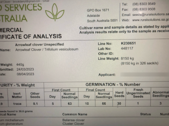 8000kg Arrow Leaf Clover Seed