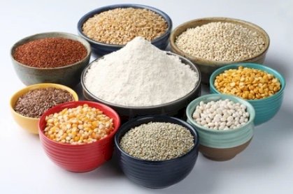 Certified Organic Seed