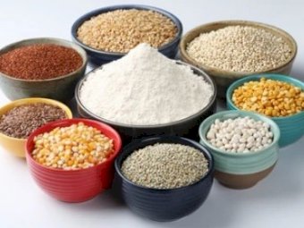 Certified Organic Seed