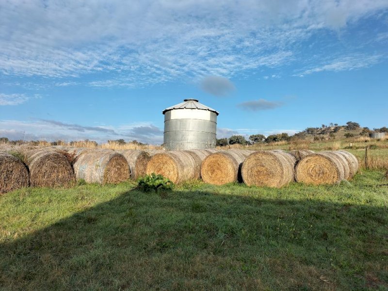 150 X Lucerne Hay  5 X 4 Round bales