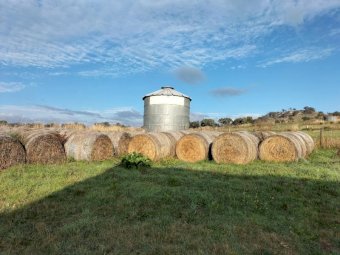 150 X Lucerne Hay  5 X 4 Round bales