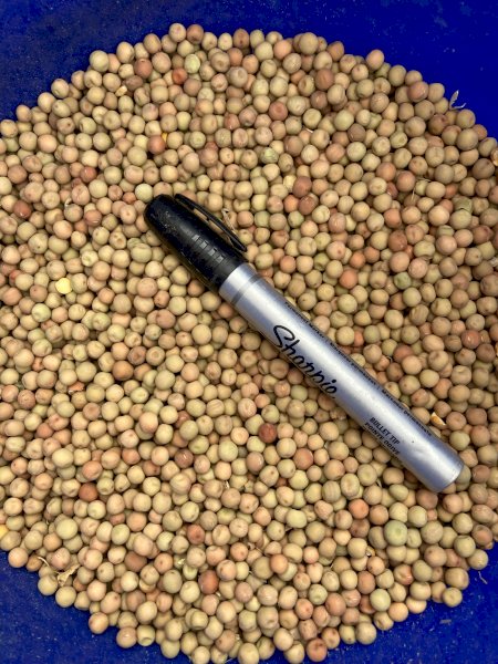 18-20mt Butler Peas (21/22 Season)