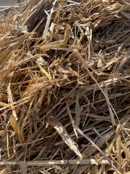 22/23 Season Oaten Hay 8x4x3 Bales