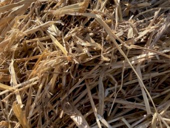 22/23 Season Oaten Hay 8x4x3 Bales