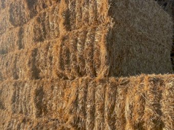 22/23 Season Oaten Hay 8x4x3 Bales