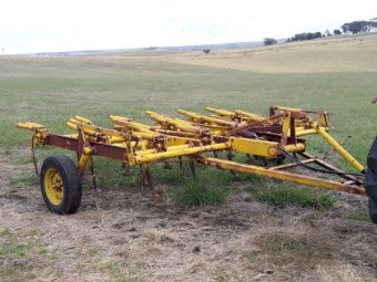 Connor Shea scarifier