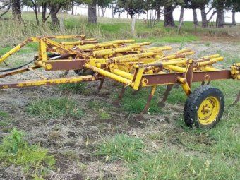 Connor Shea scarifier