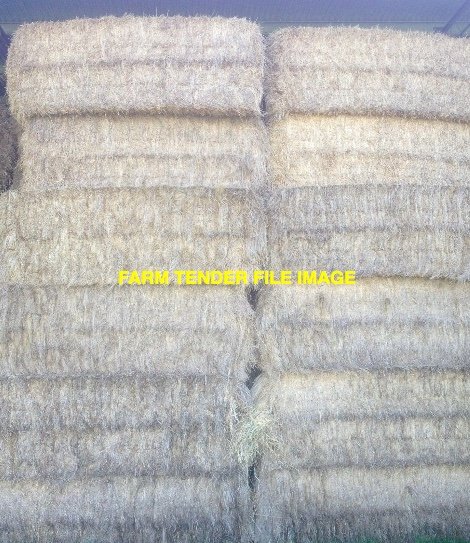 400mt Ryegrass Clover Hay 8x4x3 Bales