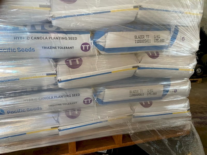 Blazer TT Hybrid Canola Seed