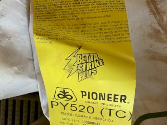 PY520TC Hybrid Canola Seed