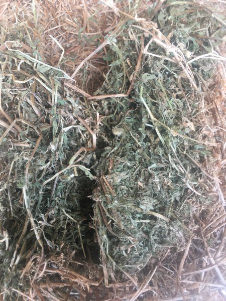 300mt Vetch Hay 600kg 8x4x3 Bales (19/20 Season)