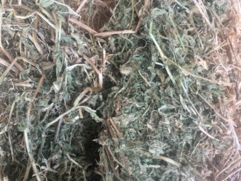 300mt Vetch Hay 600kg 8x4x3 Bales (19/20 Season)