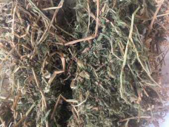 300mt Vetch Hay 600kg 8x4x3 Bales (19/20 Season)