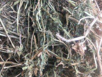 300mt Vetch Hay 600kg 8x4x3 Bales (19/20 Season)