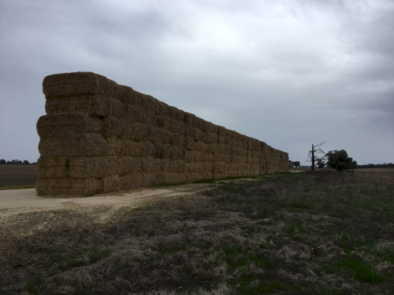 8x4x3 Bales Barley Straw Header Tailings