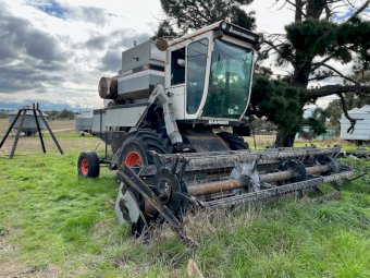 Under Auction - (A224) Gleaner F2 Header 