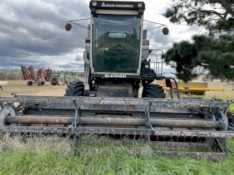 Under Auction - (A224) Gleaner F2 Header 