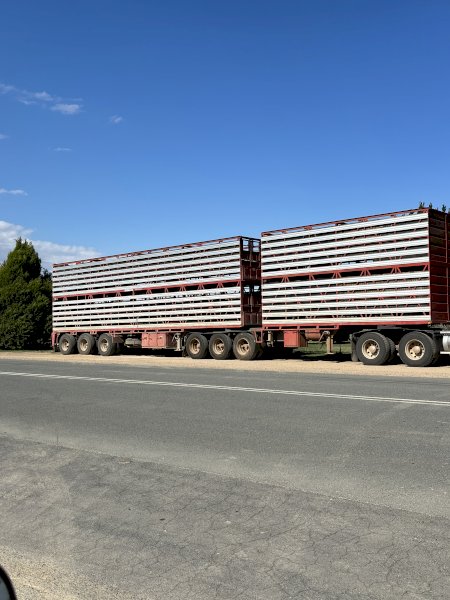 2006 Dunns B Double  Stockcrate