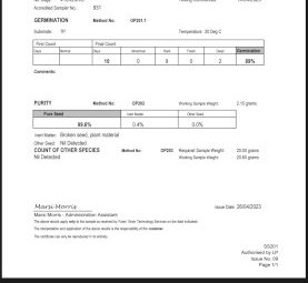 6MT Shaftal Clover Seed
