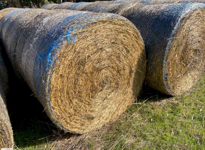 80 x Round Bales Oaten Hay