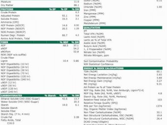 80 x Round Bales Oaten Hay
