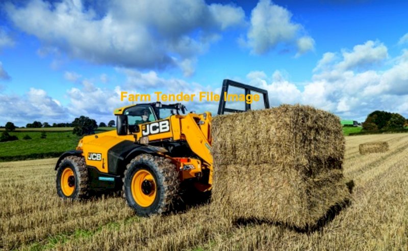 WANTED Telehandler