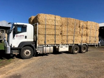 2014 Isuzu FXY 1500 Truck With Removable Stock Crate